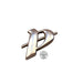 Nissan Pulsar "P" Front Grill Badge OEM New